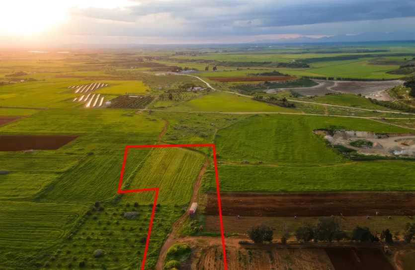 Agricultural land - 18543, photo 3