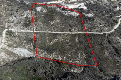 Сельхоз земля - 18547, photo 1