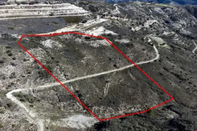 Сельхоз земля - 18547, photo 2