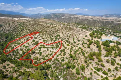 Сельхоз земля - 18546, photo 2