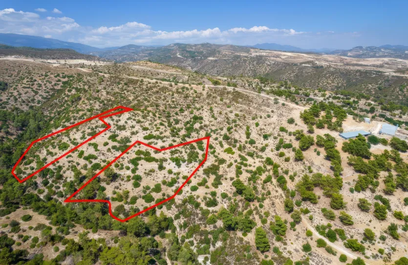 Сельхоз земля - 18546, photo 3