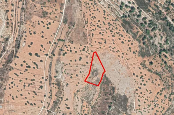 Сельхоз земля в Пачне, Лимассол