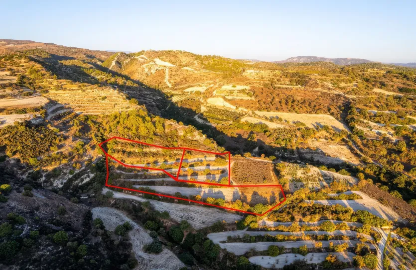 Сельхоз земля продажа - 18545