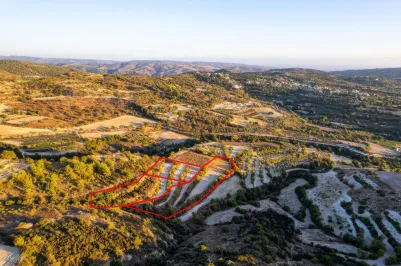 Сельхоз земля - 18545, photo 1