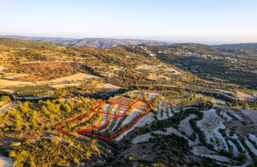 Сельхоз земля - 18545, photo 2