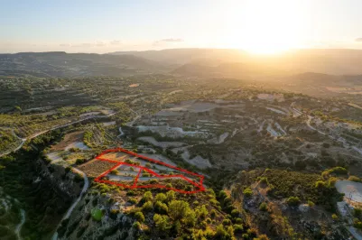 Сельхоз земля - 18545, photo 2