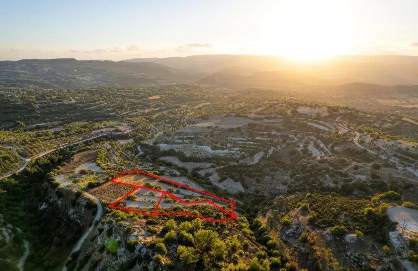 Сельхоз земля - 18545, photo 3