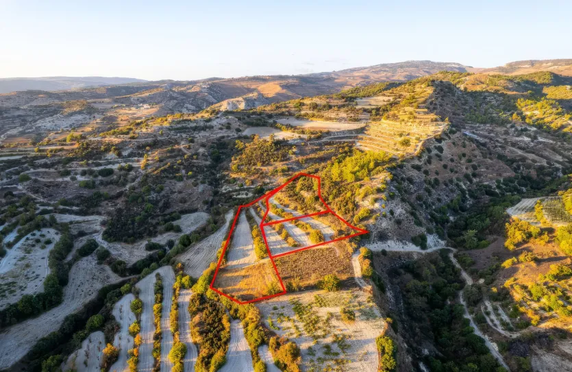 Сельхоз земля - 18545, photo 4