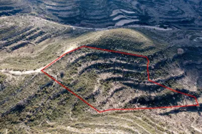 Сельхоз земля - 18549, photo 2