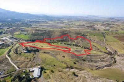 Agricultural land - 18551, photo 2