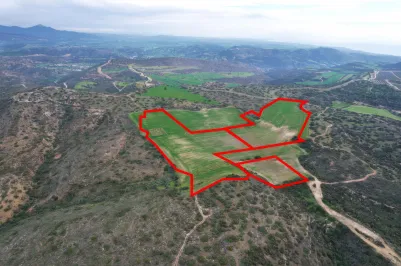 Agricultural land - 18552, photo 1