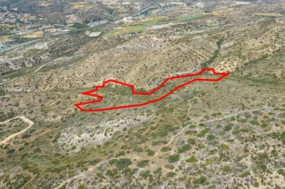 Agricultural land - 18554, photo 2