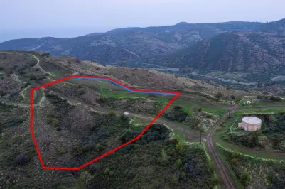 Agricultural land - 18556, photo 1