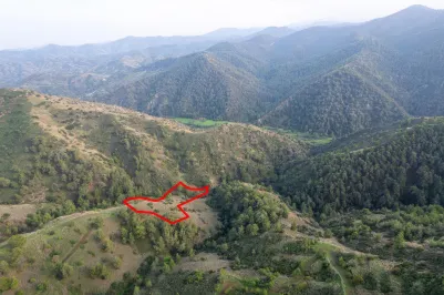 Agricultural land - 18559, photo 1