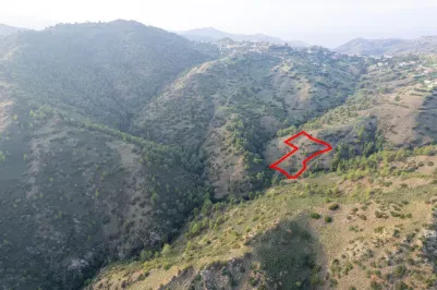 Agricultural land - 18559, photo 2