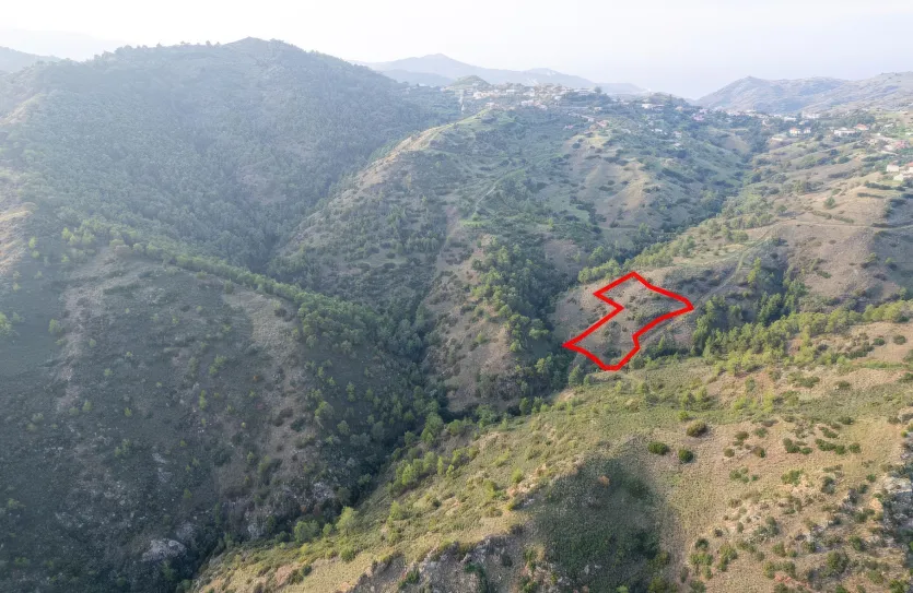 Agricultural land - 18559, photo 3