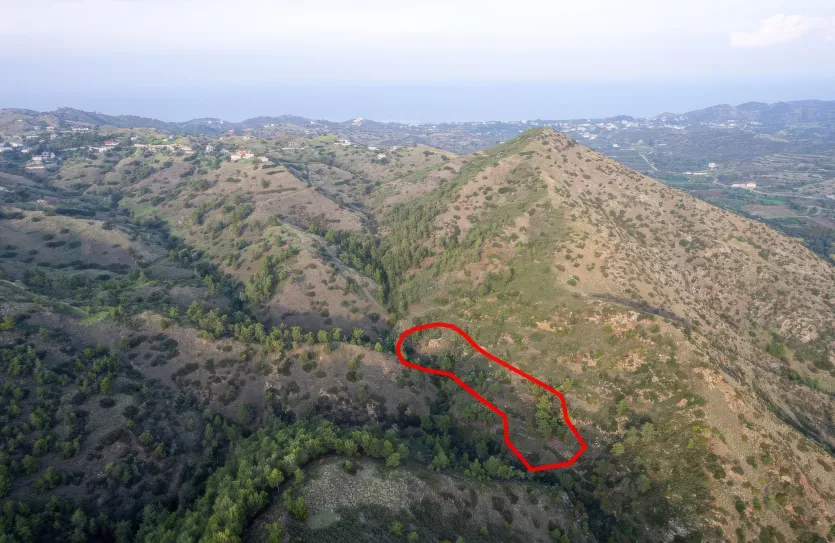 Agricultural land for sale - 18558