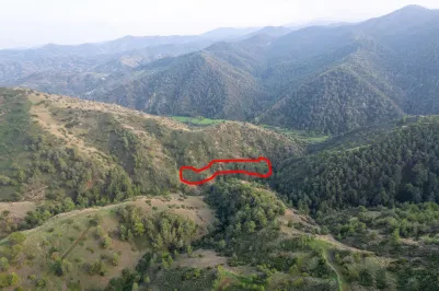 Agricultural land - 18558, photo 1