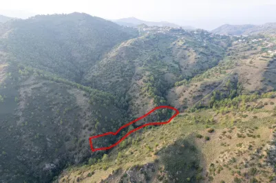 Agricultural land - 18558, photo 2