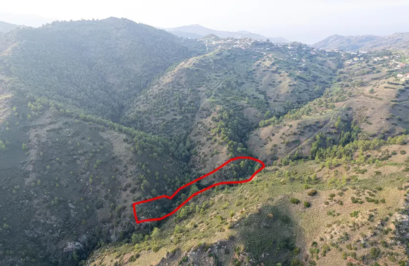 Agricultural land - 18558, photo 3