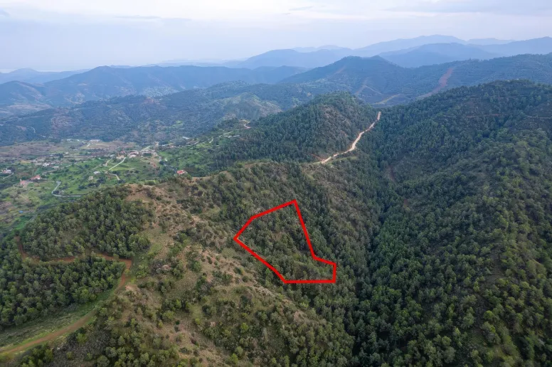 Сельхоз земля в Пано Пиргосе, Никосия