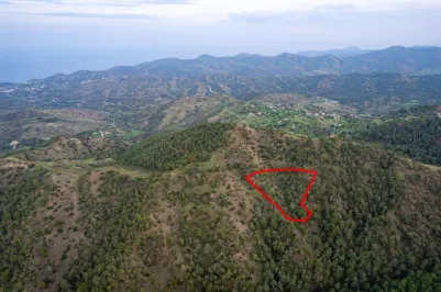 Agricultural land - 18557, photo 1