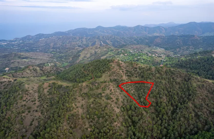 Agricultural land - 18557, photo 2