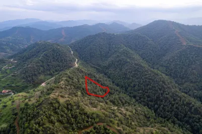 Agricultural land - 18557, photo 2