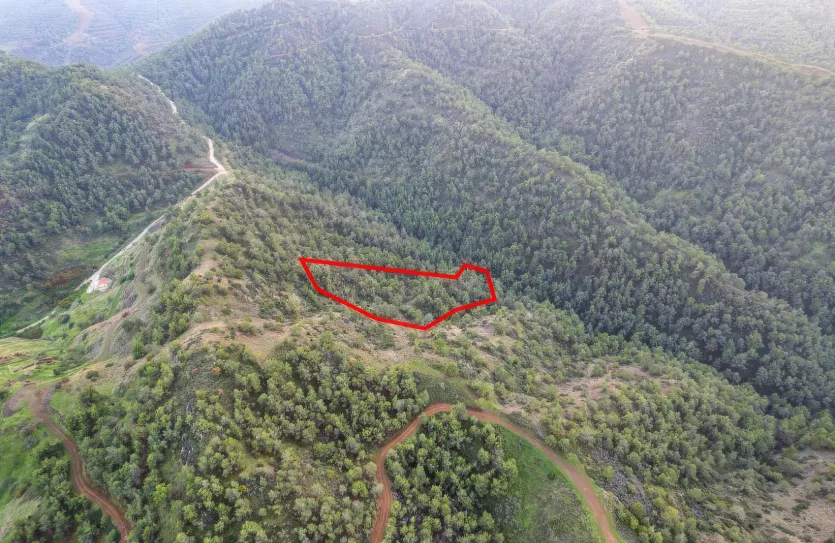 Agricultural land - 18557, photo 5