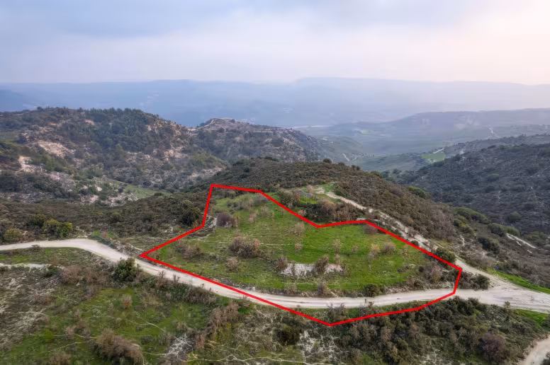 Agricultural land in Salamiou, Paphos
