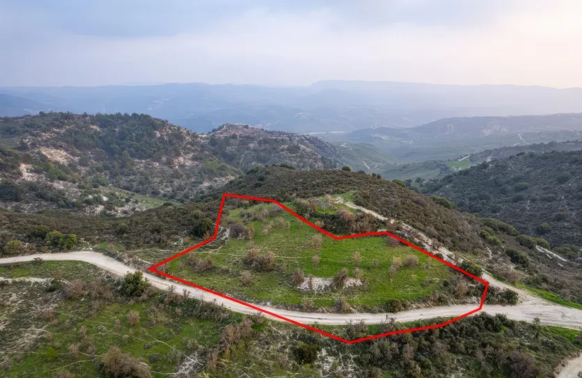 Сельхоз земля продажа - 18560