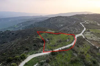 Сельхоз земля - 18560, photo 1