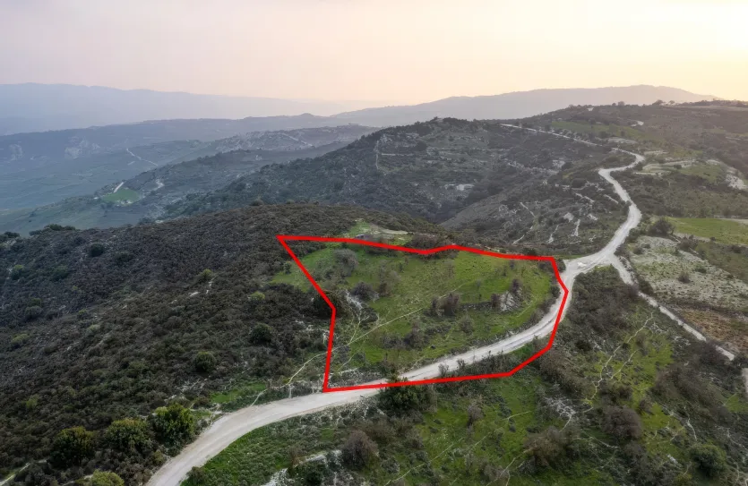 Сельхоз земля - 18560, photo 2