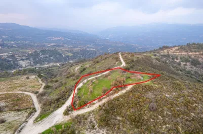 Сельхоз земля - 18560, photo 2