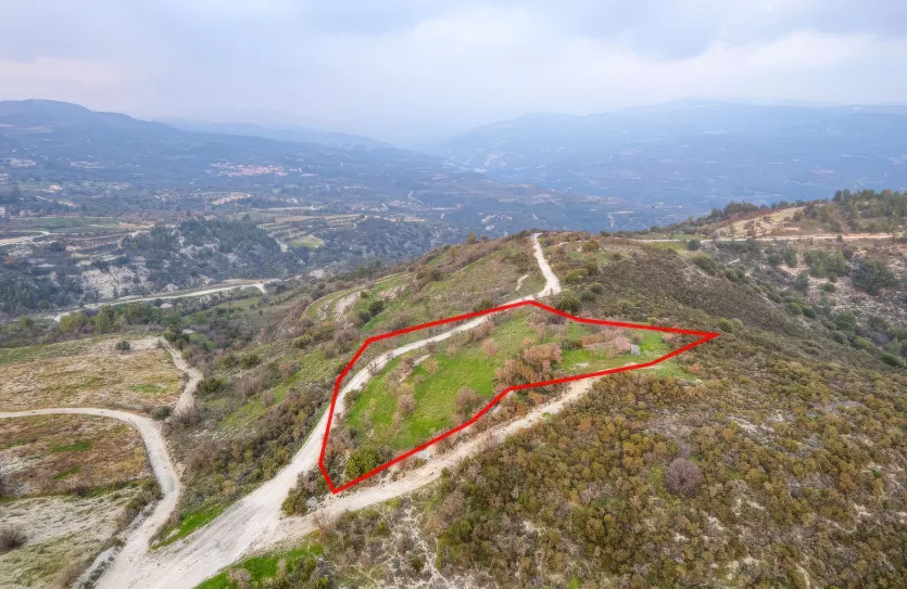 Сельхоз земля - 18560, photo 3