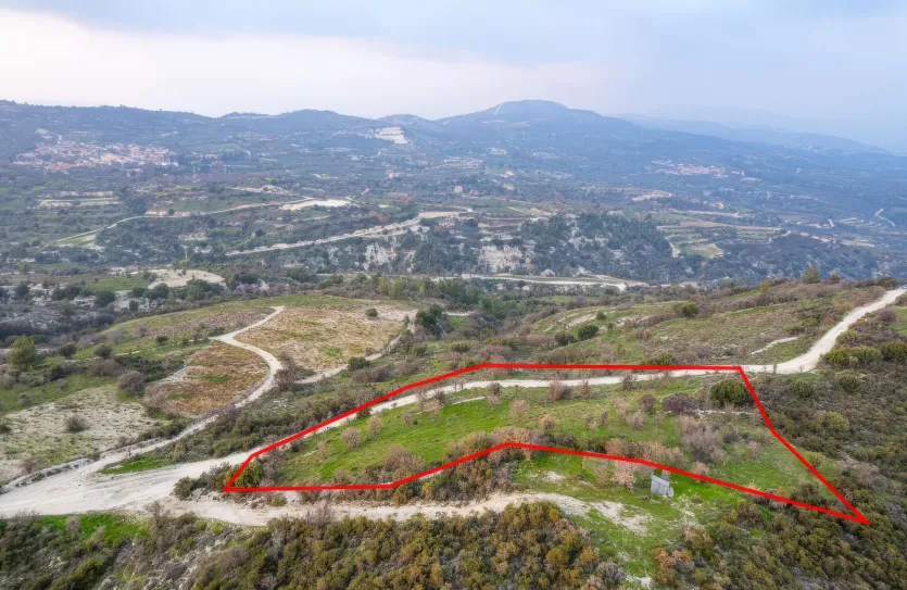 Сельхоз земля - 18560, photo 4