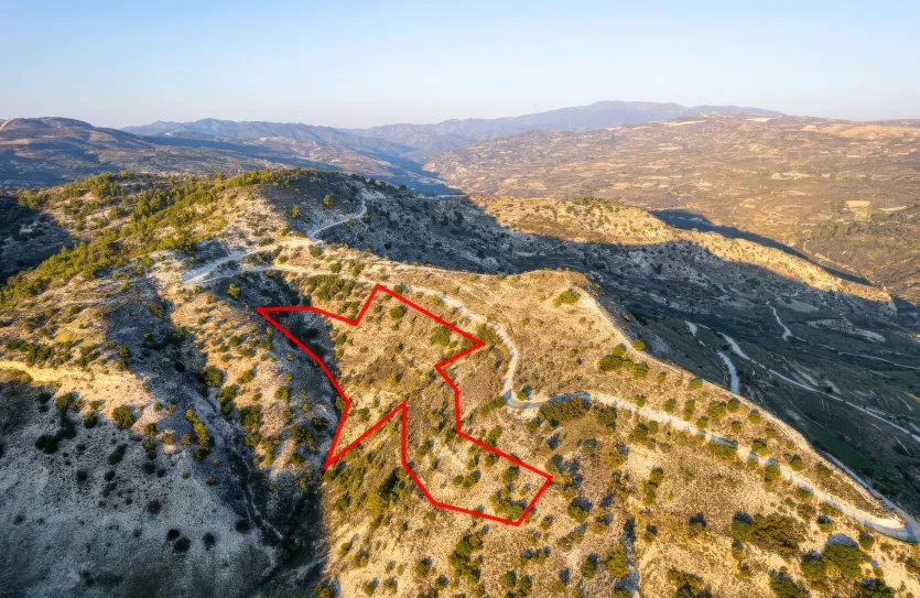 Сельхоз земля - 18562, photo 2