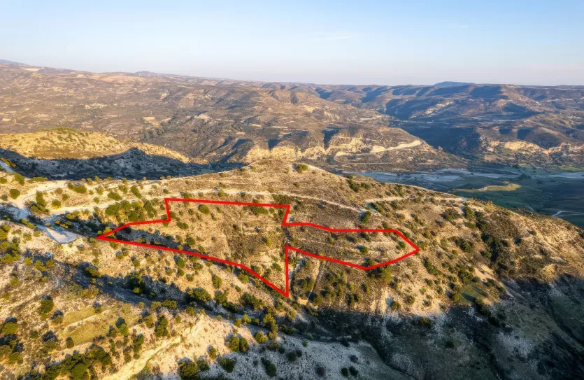 Сельхоз земля - 18562, photo 3