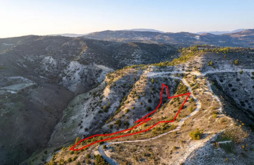 Сельхоз земля - 18562, photo 4