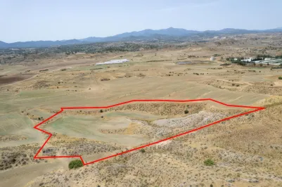 Agricultural land - 18563, photo 1