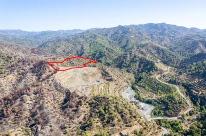 Сельхоз земля - 18567, photo 1