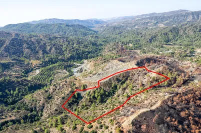 Сельхоз земля - 18567, photo 2