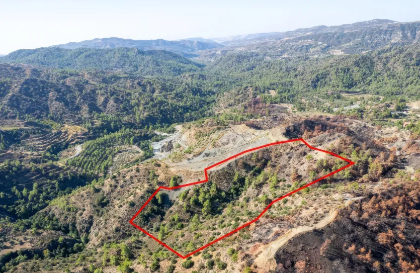 Сельхоз земля - 18567, photo 3