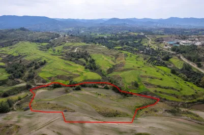 Agricultural land - 18570, photo 1