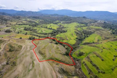 Agricultural land - 18570, photo 2