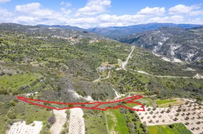 Agricultural land - 18569, photo 1