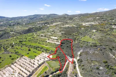 Agricultural land - 18569, photo 2