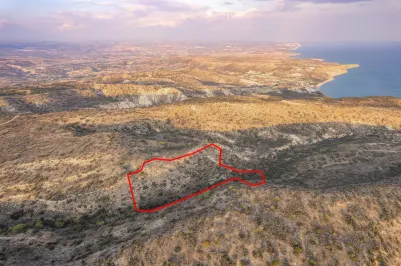 Сельхоз земля - 18571, photo 1