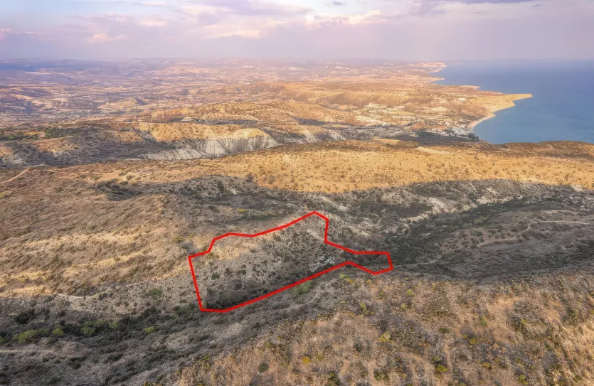 Сельхоз земля - 18571, photo 2