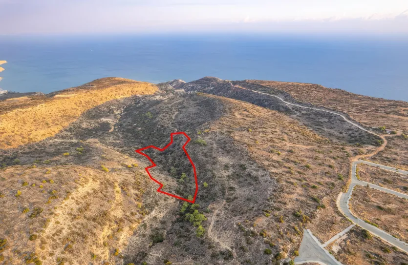 Сельхоз земля - 18571, photo 3